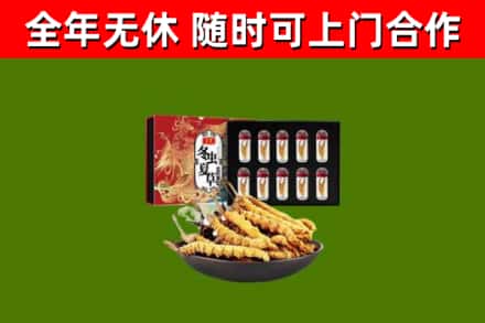 塔河回收冬虫夏草价格